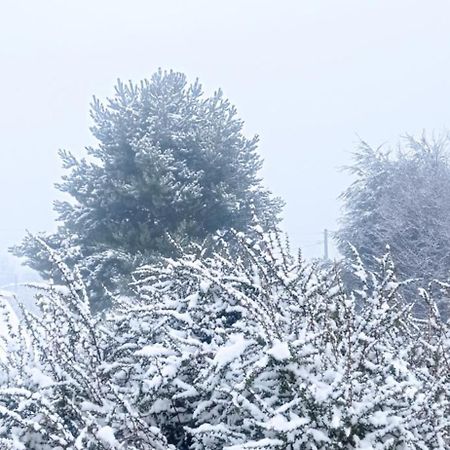 Cabanas Kuyen Coyhaique Zewnętrze zdjęcie